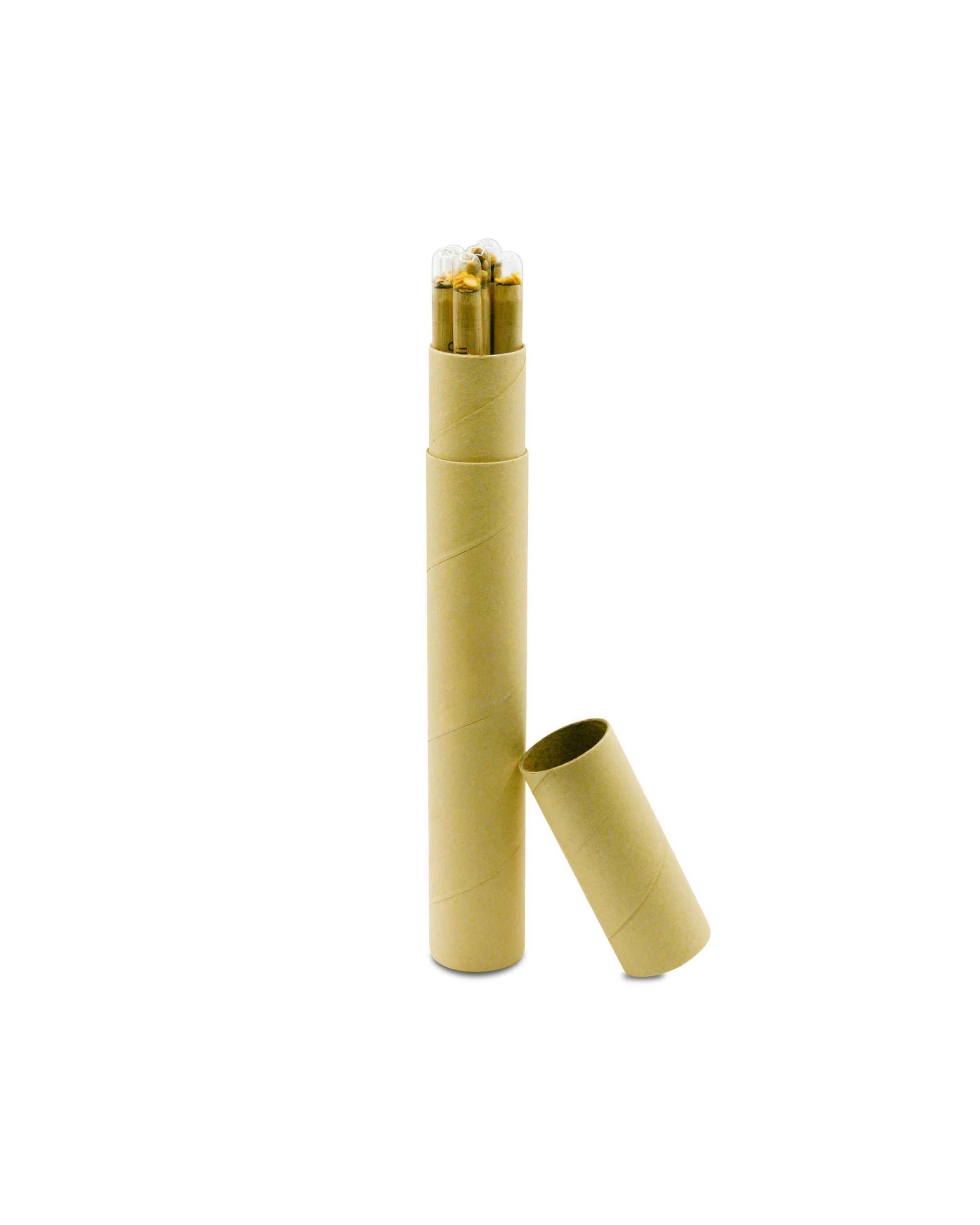 Fobeko - Eco Friendly Pencil set With Seeds