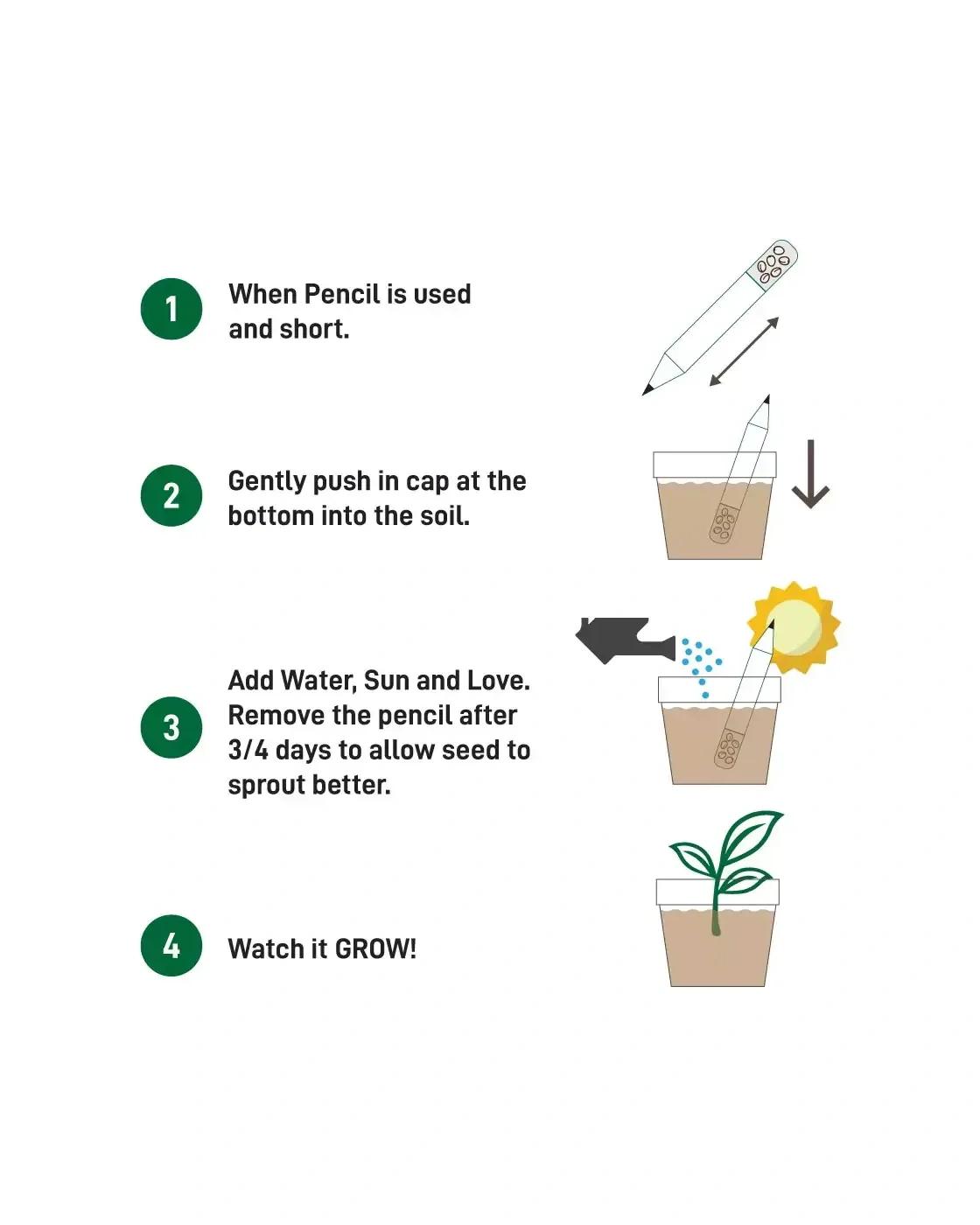 Dilafi - Plantable A Pencils Set Seeds Tomato Coriander Chili Mustard Fenugreek