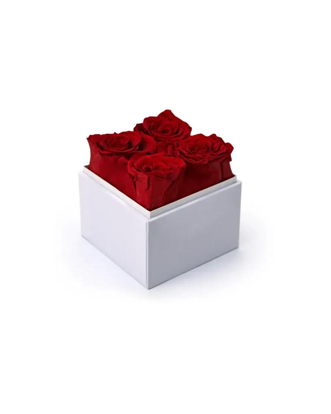 Kehobe - Forever Natural Flowers Gift Box White, Clear Acrylic Lid, 4Pcs Long Life Roses