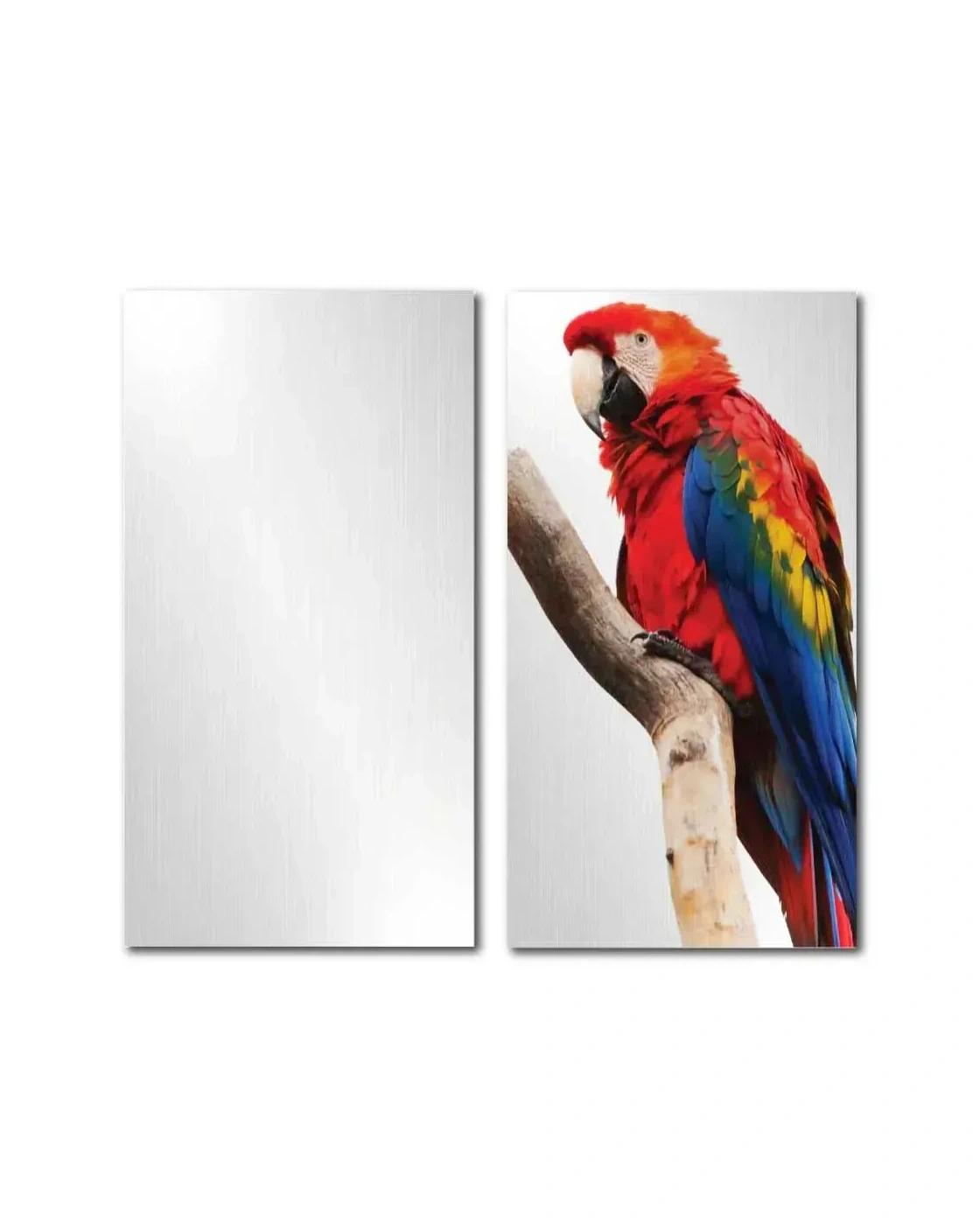 Babelo - Coated Aluminum Sheets For Indoor & Outdoor Display