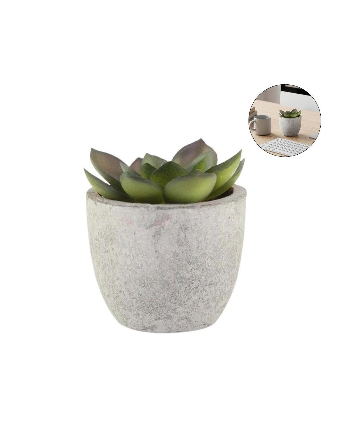 Kebeke - CAMAS - Artificial Succulent Plant in Pulp Pot