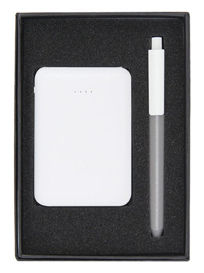Promotional Gift Set – Mini Power Bank & Designer Plastic Pen