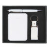 Promotional Gift Set – Mini Power Bank, Leather USB & Stylus Pen