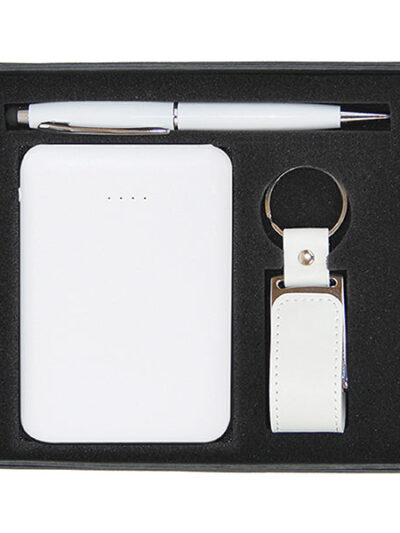 Promotional Gift Set – Mini Power Bank, Leather USB & Stylus Pen - Image 1